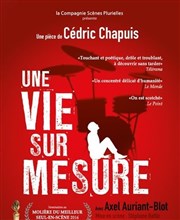 Une vie sur mesure Thtre Le Colbert Affiche