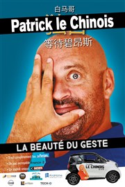 Patrick Le Chinois dans Pour la beauté du geste Comdie de la Roseraie Affiche