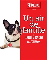 Un air de famille Thtre municipal de Muret Affiche