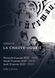 La Chauve-souris Salle colonne Affiche