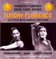 Sunday Flamenco Pniche Antipode Affiche