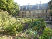 Visite guidée : Le jardin médiéval | par Edwige Riallot Mtro Cluny La Sorbonne Affiche