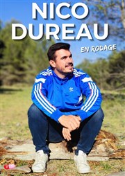 Nico Dureau L'Art D Affiche