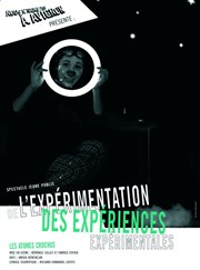 De l'expérimentation des expériences expérimentales Nouveau Gare au Thtre Affiche