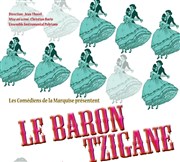 Le Baron Tzigane Espace Saint Pierre Affiche