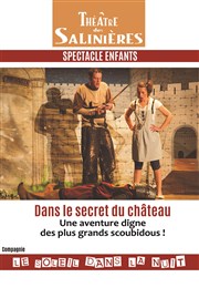 Dans le secret du château Thtre des Salinires Affiche