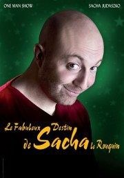 Sacha Judaszko dans Le Fabuleux Destin De Sacha Le Rouquin Spotlight Affiche