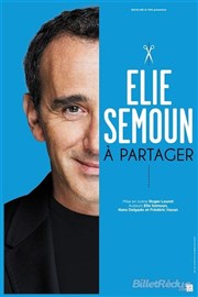 Elie Semoun dans A partager Thtre Sbastopol Affiche