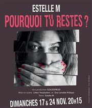 Pourquoi tu restes ? Le Sentier des Halles Affiche