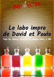 Le Labo impro de David et Paulo La Basse Cour Affiche