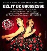 Délit de grossesse Comdie de Grenoble Affiche