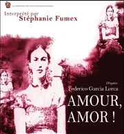 Amour, Amor ! Thtre de Nesle - grande salle Affiche