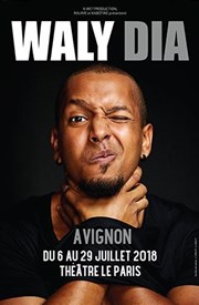 Waly Dia | Nouveau Spectacle Le Paris - salle 3 Affiche