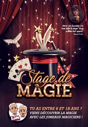 Stage de Magie Comdie Triomphe Affiche