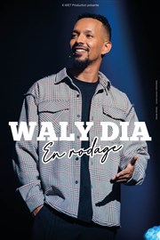 Waly Dia | En rodage Thtre de la Clart Affiche