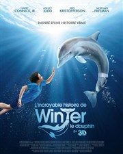 Projection du film enfants Winter le Dauphin Pavillon de l'eau Affiche