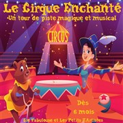 Le cirque enchanté Thtre de l'Embellie Affiche