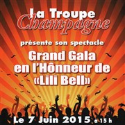 Grand Gala en Hommage a Lili Bell Salle des Lices Affiche