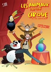 Les animaux font leur cirque Thtre de la Cit Affiche