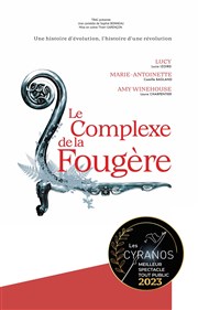 Le Complexe de la Fougère Thtre Au coin de la Lune Affiche