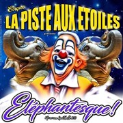 Cirque la piste aux étoiles dans Eléphantesque | Istres Chapiteau La Piste aux Etoiles  Istres Affiche