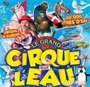 Le Cirque sur l'Eau | - Chambéry Chapiteau Le Cirque sur l'Eau  Chambery Affiche