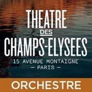 Nizhny-Novgorod Youth Symphony Orchestra Thtre des Champs Elyses Affiche