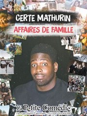 Certe Mathurin dans Affaires de famille La Comdie de Toulouse Affiche