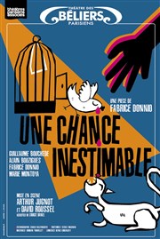 Une chance inestimable Thtre des Bliers Parisiens Affiche