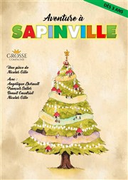 Aventure à sapinville La Comdie de Limoges Affiche