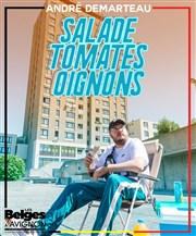 André Demarteau dans Salade tomates oignons La Comdie d'Avignon Affiche