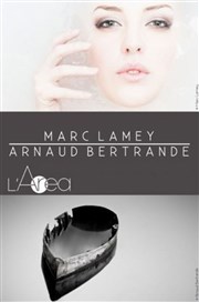 Exposition de Marc Lamey et Arnaud Bertrande L'Area Affiche