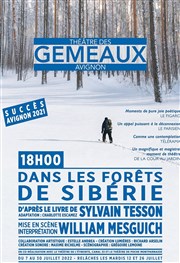 Dans les forêts de Sibérie Thtre des Gmeaux - salle des Colonnes Affiche