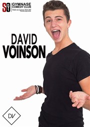 David Voinson dans DV SoGymnase au Thatre du Gymnase Marie Bell Affiche