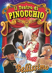 Il teatro di Pinocchio Chapiteau Il teatro di Pinocchio  Asnires les Bourges Affiche