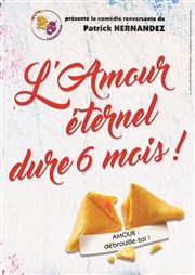 L'amour éternel dure 6 mois ! Thtre Comdie de Lille Affiche