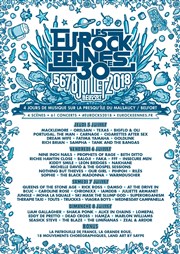 Les Eurockéennes de Belfort 2018 Presqu'ile du Malsaucy Affiche