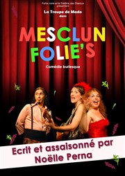 Mesclun Folie's | La Troupe de Mado Thtre des Oiseaux Affiche