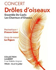 Drôles d'oiseaux Collection Lambert, Salle aux arcades Affiche