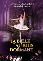 La belle au bois dormant | Saint Etienne Znith de Saint Etienne Affiche