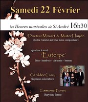 Docteur Mozart & Mister Haydn Eglise Saint Andr de l'Europe Affiche