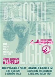 Northern Lights Temple du Saint Esprit Affiche