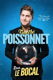 Timothé Poissonnet dans Le Bocal Le Grand Point Virgule - Salle Apostrophe Affiche