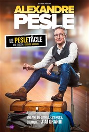 Alexandre Pesle dans Le Pesletâcle Thtre des 2 Anes Affiche