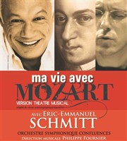 Ma vie avec Mozart Thtre Sbastopol Affiche