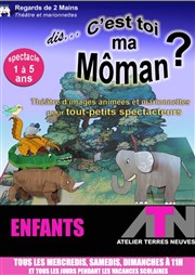 Dis, c'est toi ma môman ? L'ATN Affiche