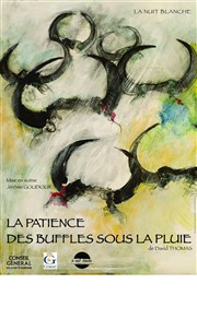 La patience des buffles sous la pluie Antiba Thtre Affiche