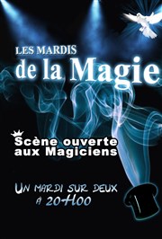 Les mardis de la magie Brasserie La Maison Affiche