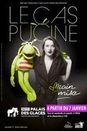 Capucine dans Le cas Pucine Petit Palais des Glaces Affiche