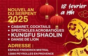 Nouvel An Chinois 2025 Espace Frdric Mistral Affiche